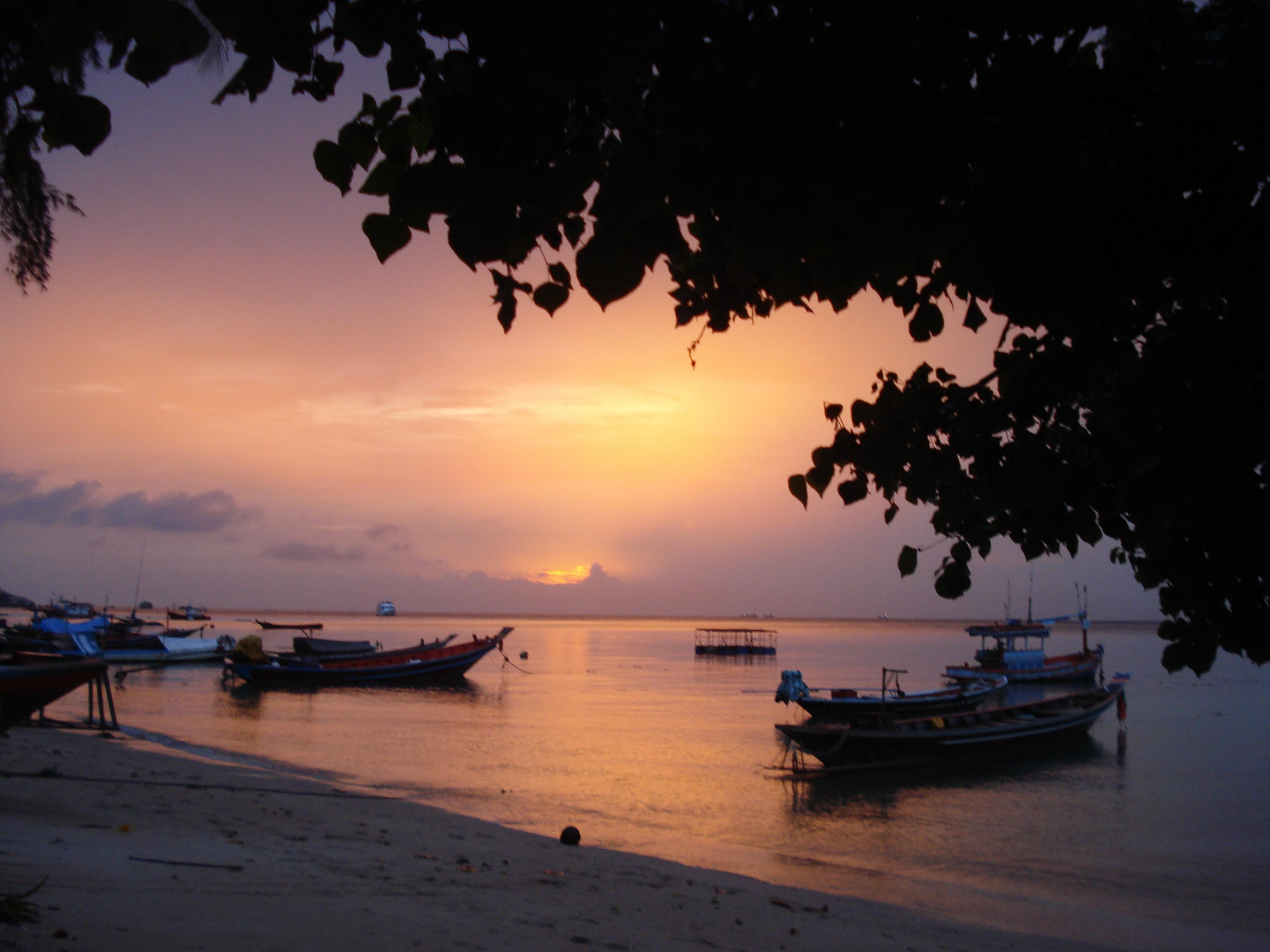 Anissaras Foto: 4 av 6