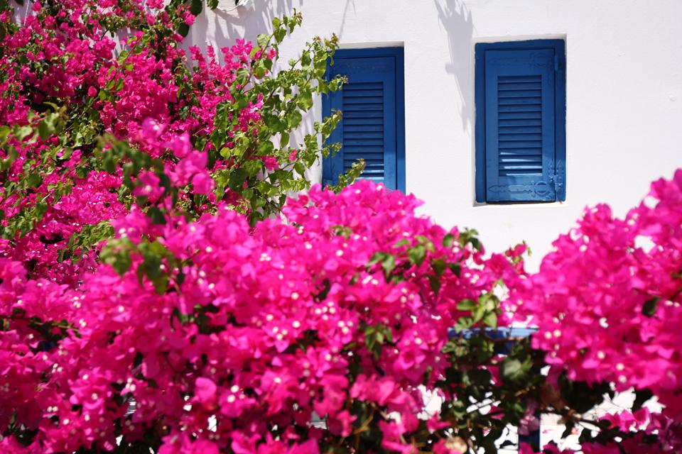 Koutouloufari Foto: 4 av 9