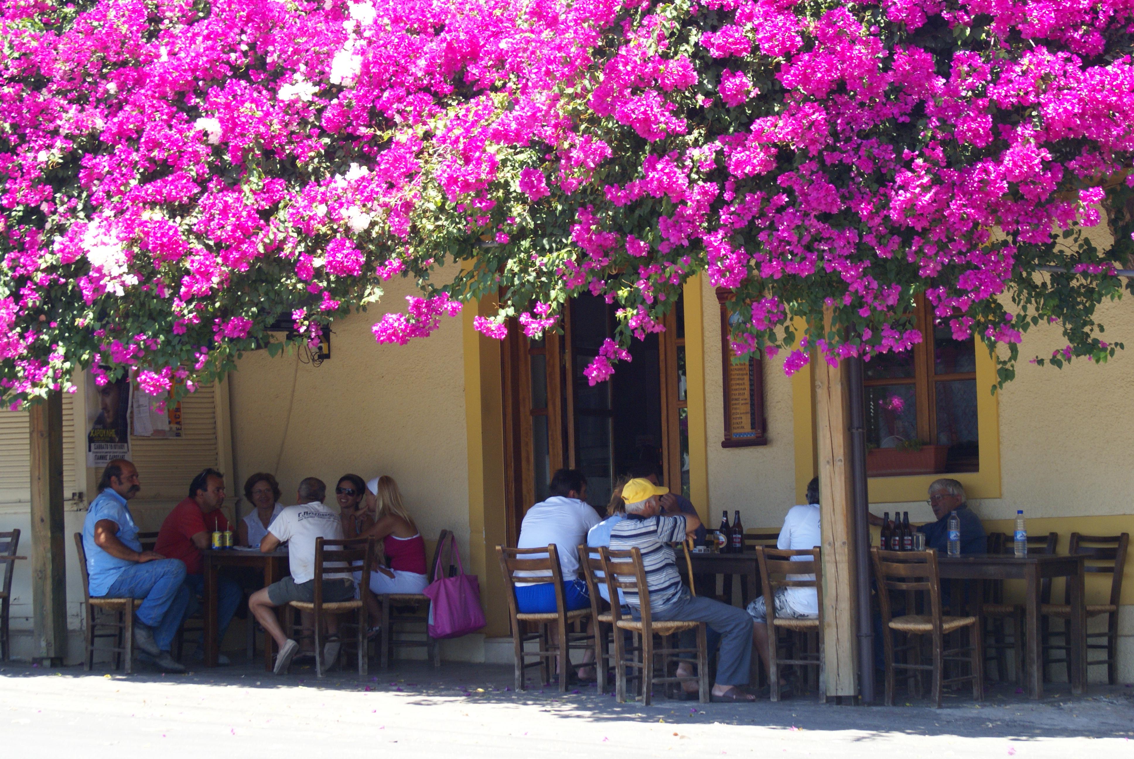 Analipsis Foto: 3 av 13