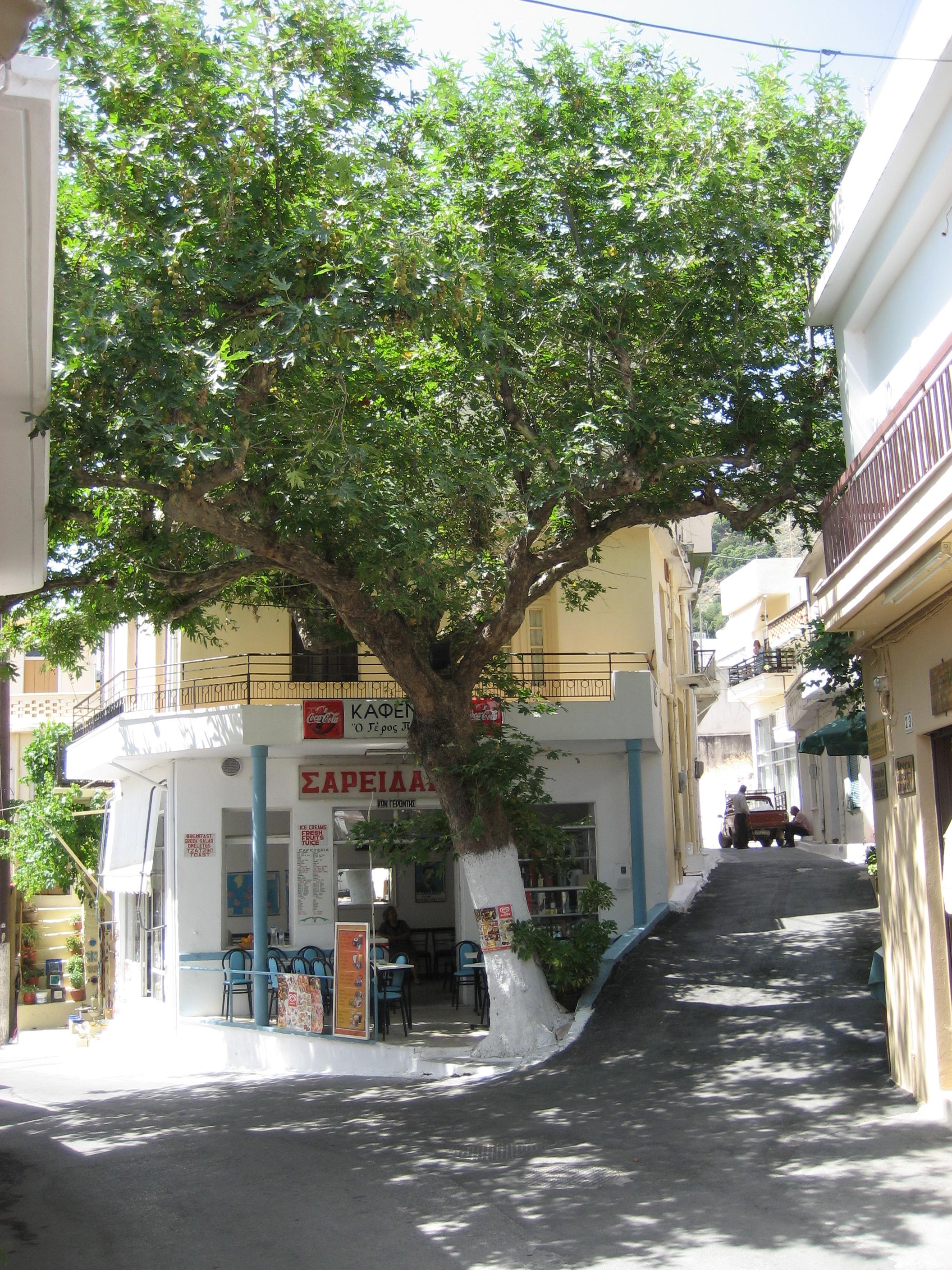 Agios Nikolaos Foto: 7 av 13