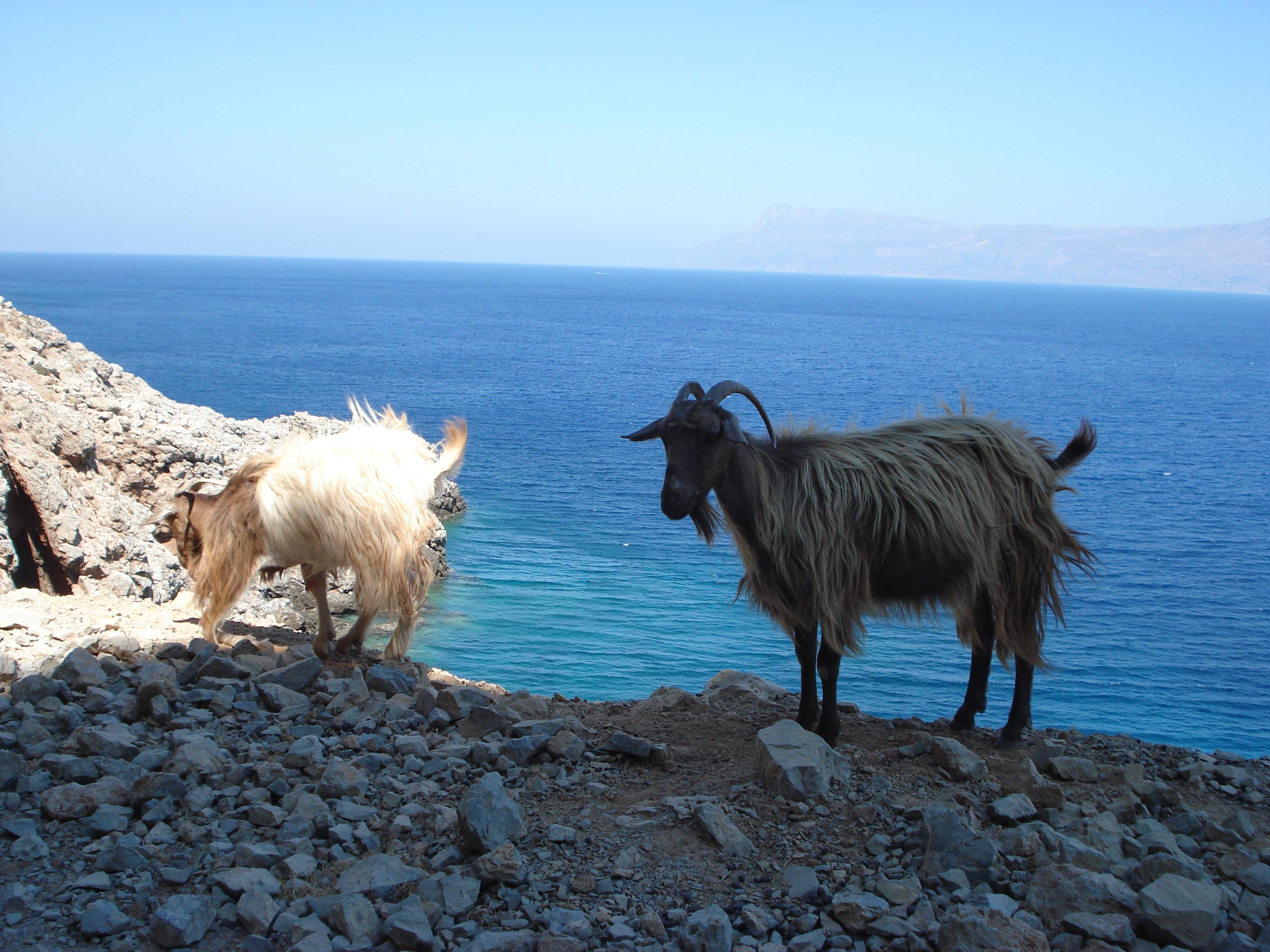 Analipsis Foto: 9 av 13