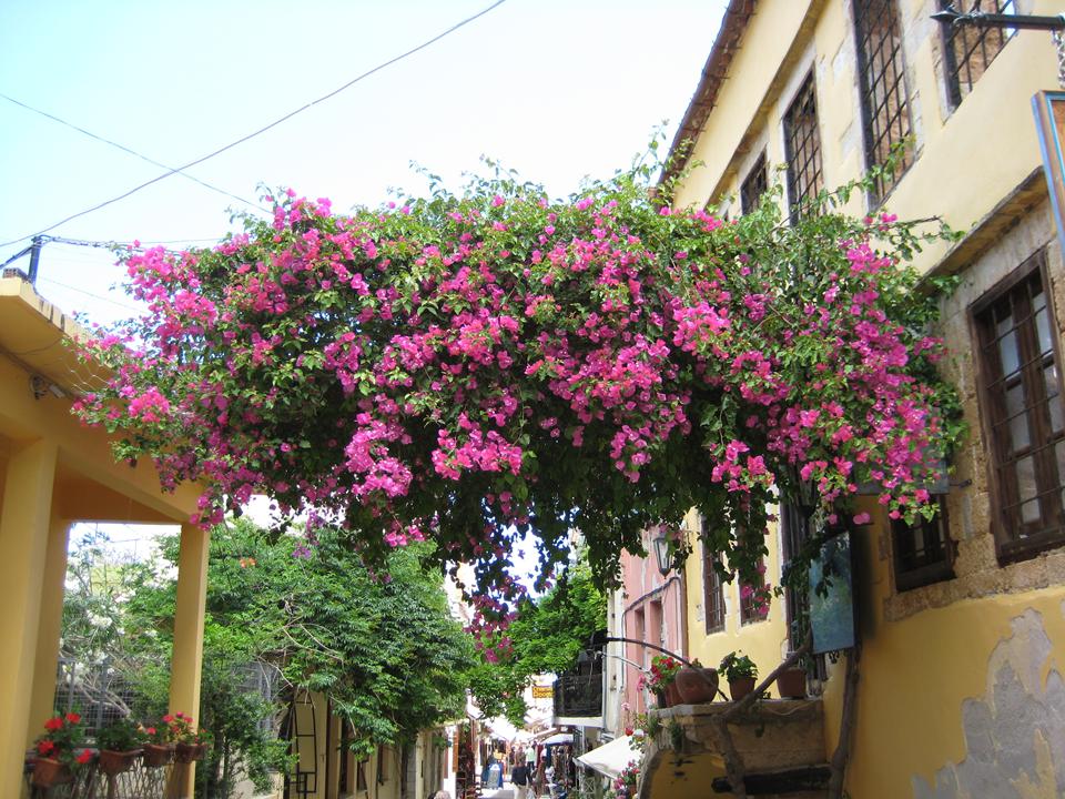Chania Foto: 8 av 12