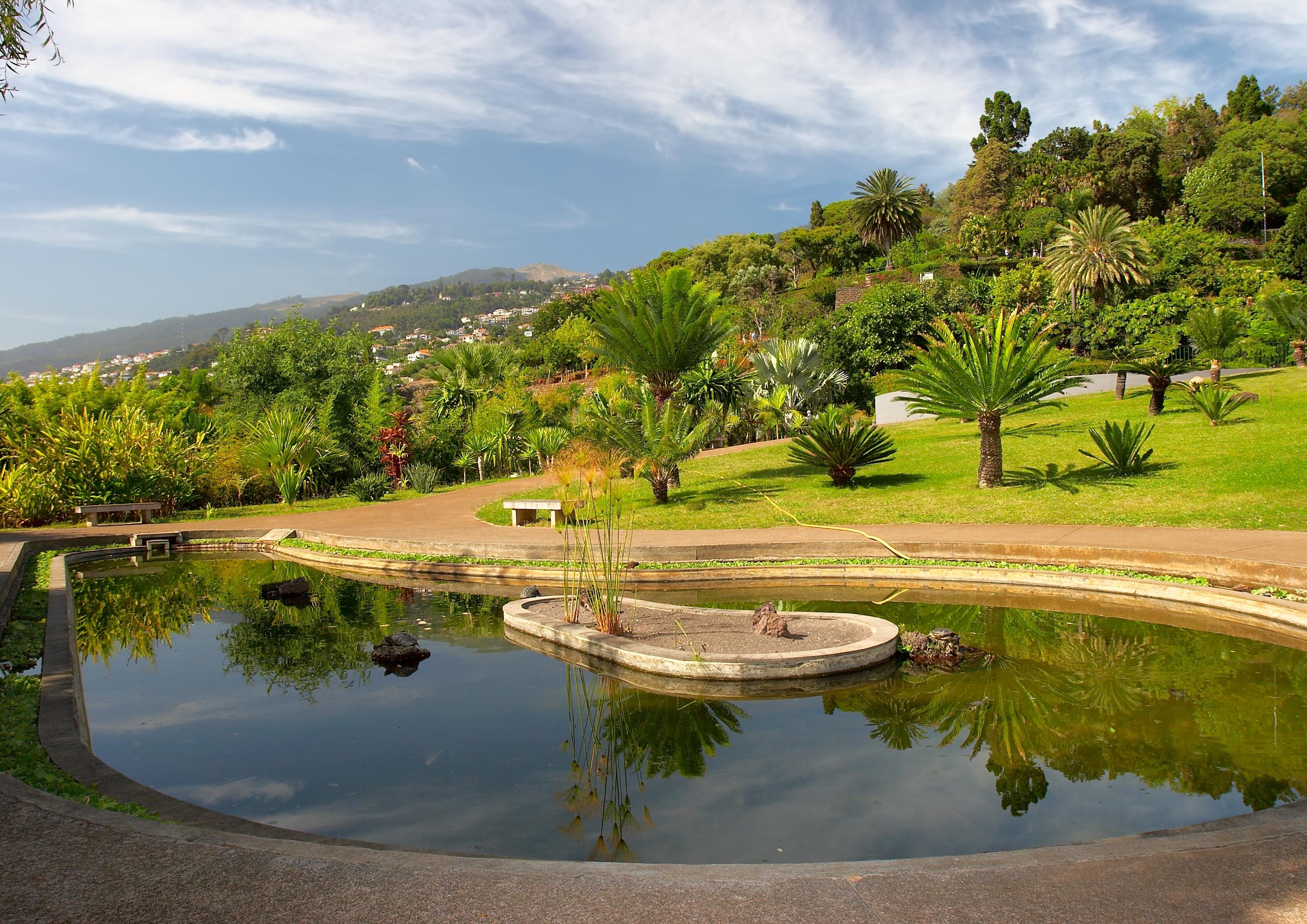 Funchal Foto: 5 av 5