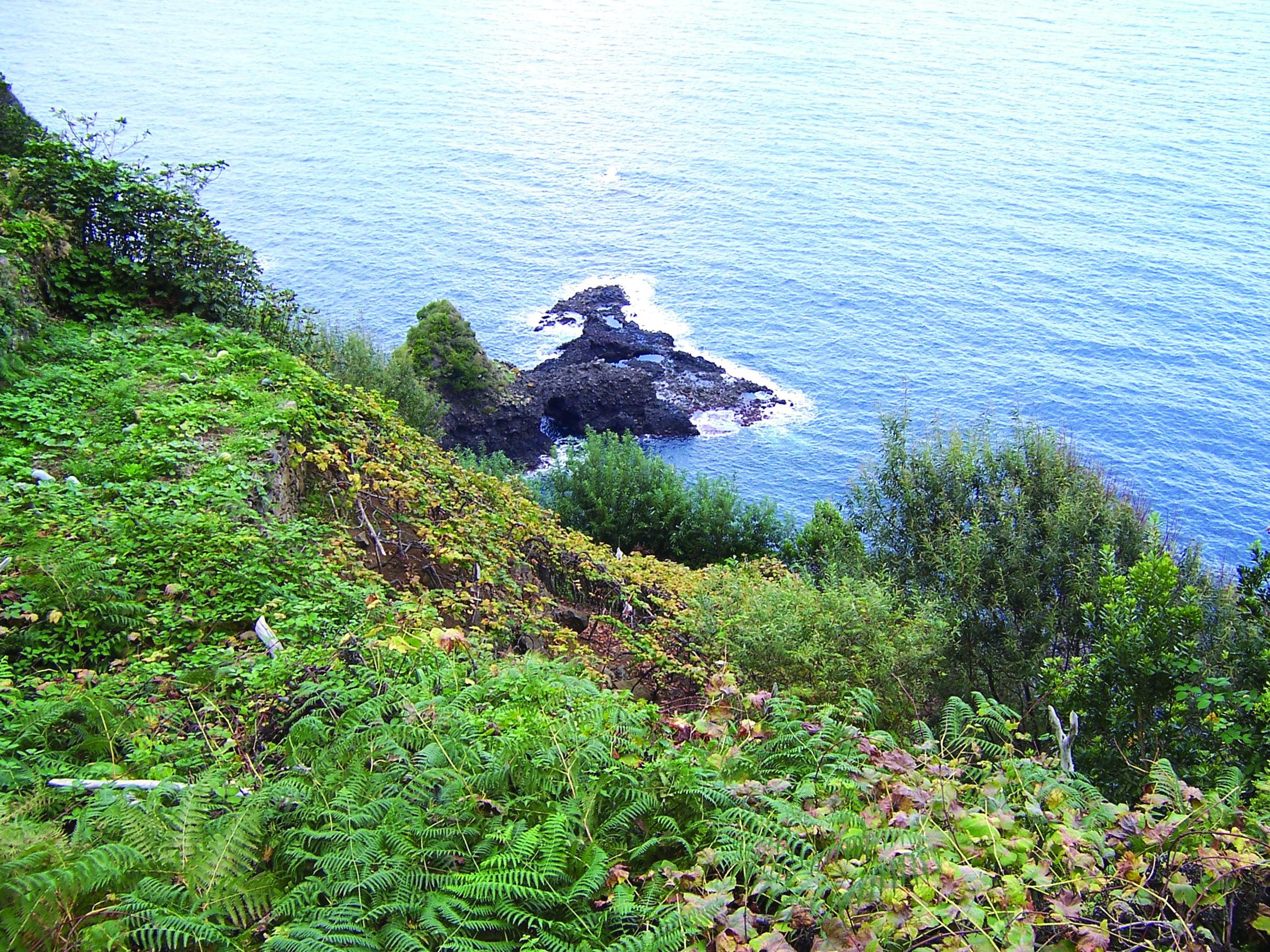 Funchal Foto: 3 av 5