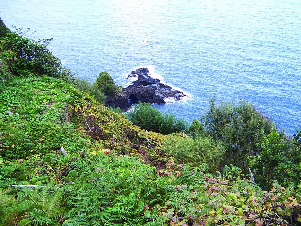 Funchal Foto: 3 av 5