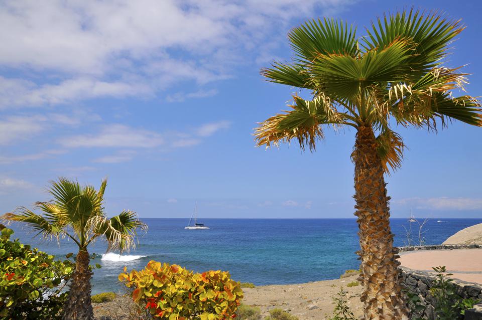 Costa Adeje Foto: 5 av 6