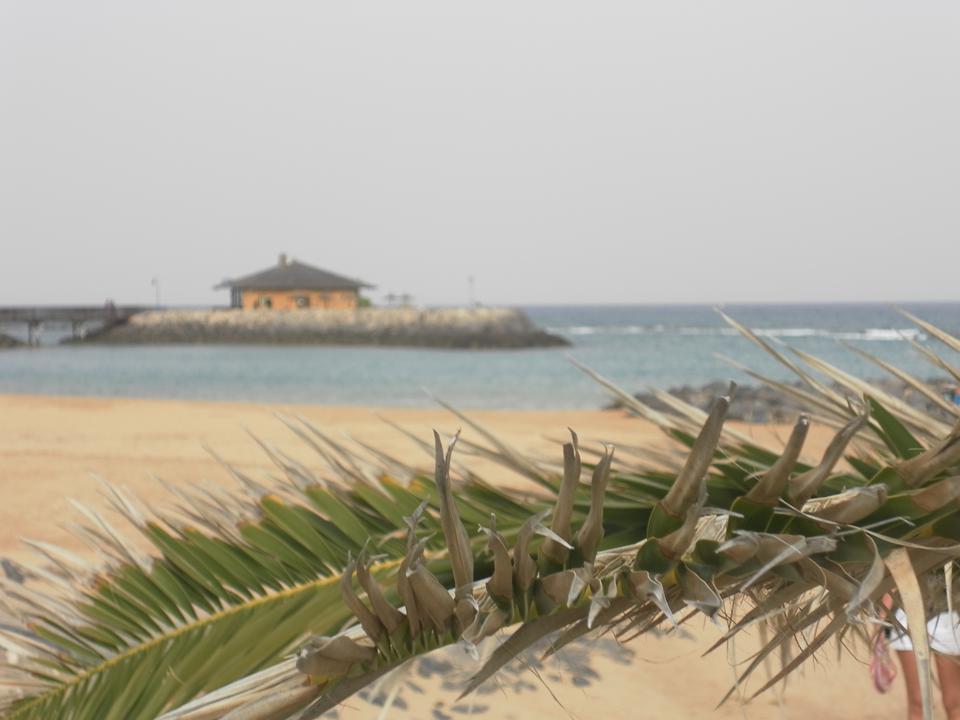 Caleta de Fuste Foto: 7 av 13