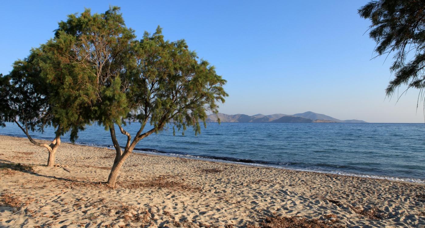 Tigaki Foto: 7 av 10