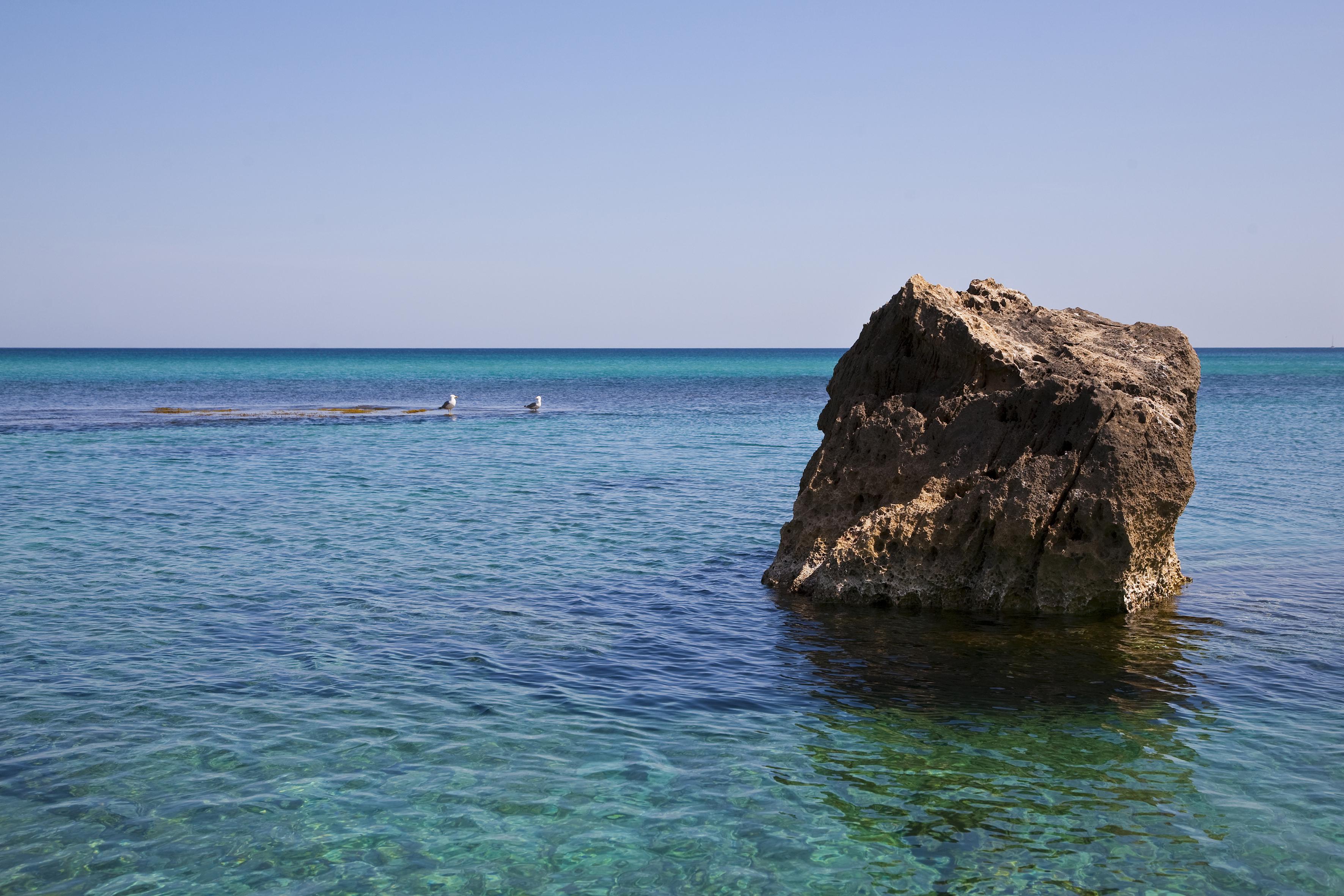 Alcudia Foto: 8 av 11