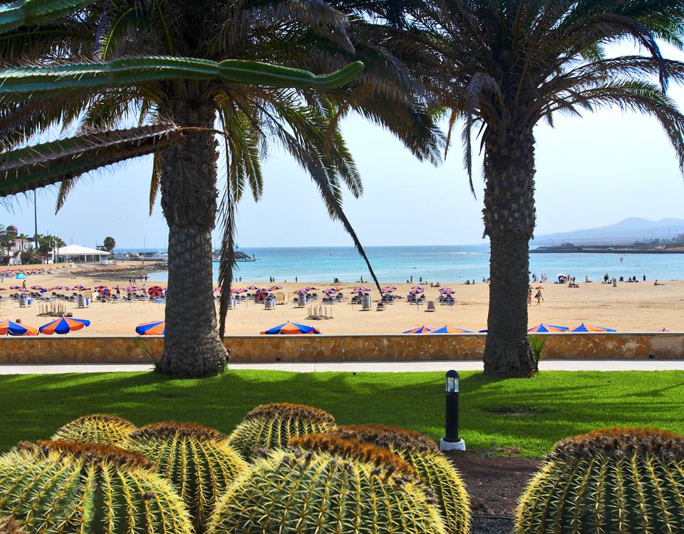 Caleta de Fuste Foto: 8 av 13