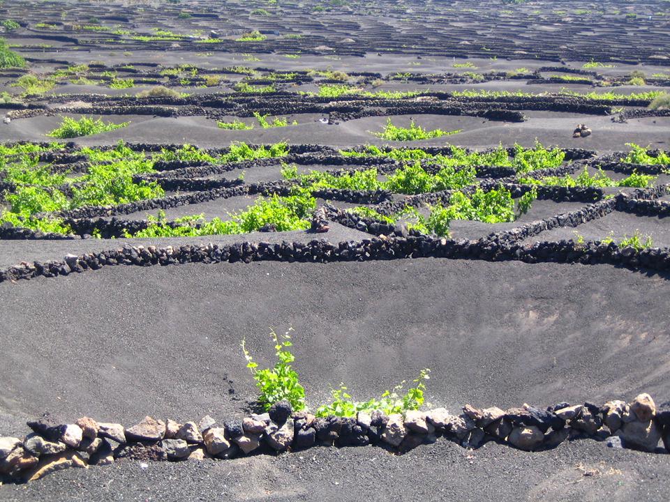 Lanzarote Foto: 5 av 6