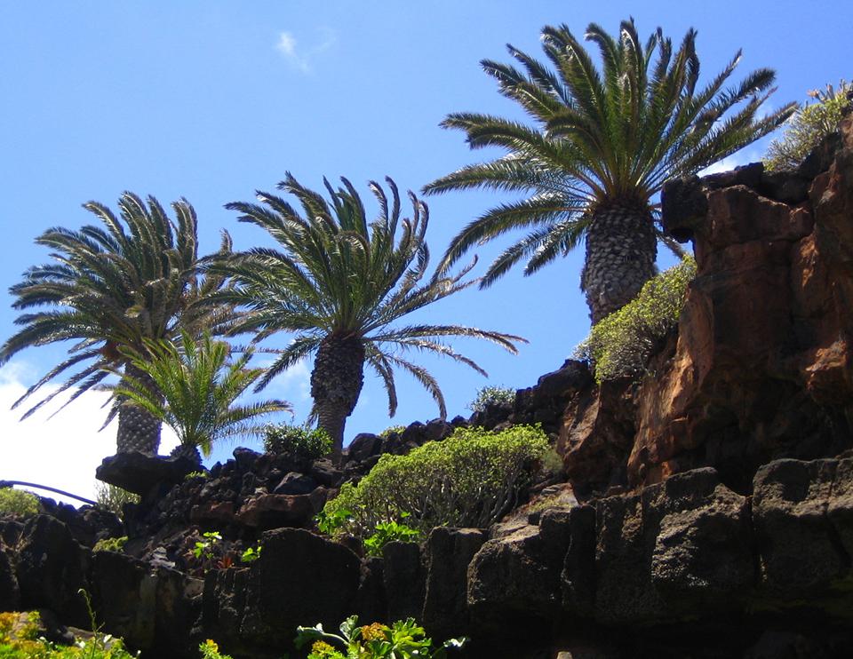 Lanzarote Foto: 4 av 6