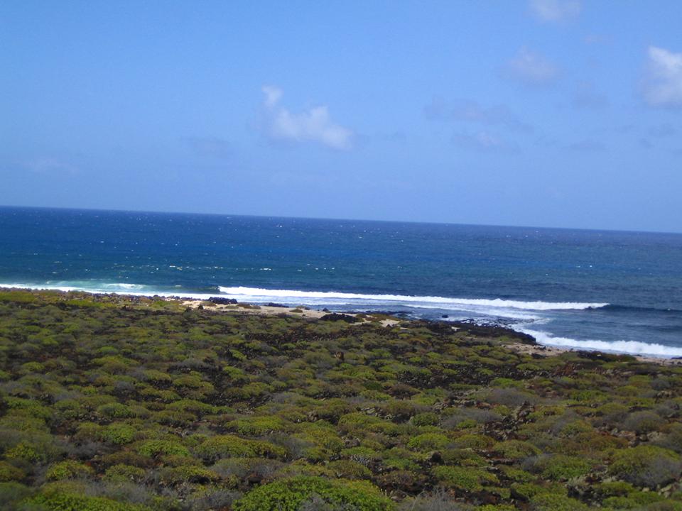 Lanzarote Foto: 3 av 6