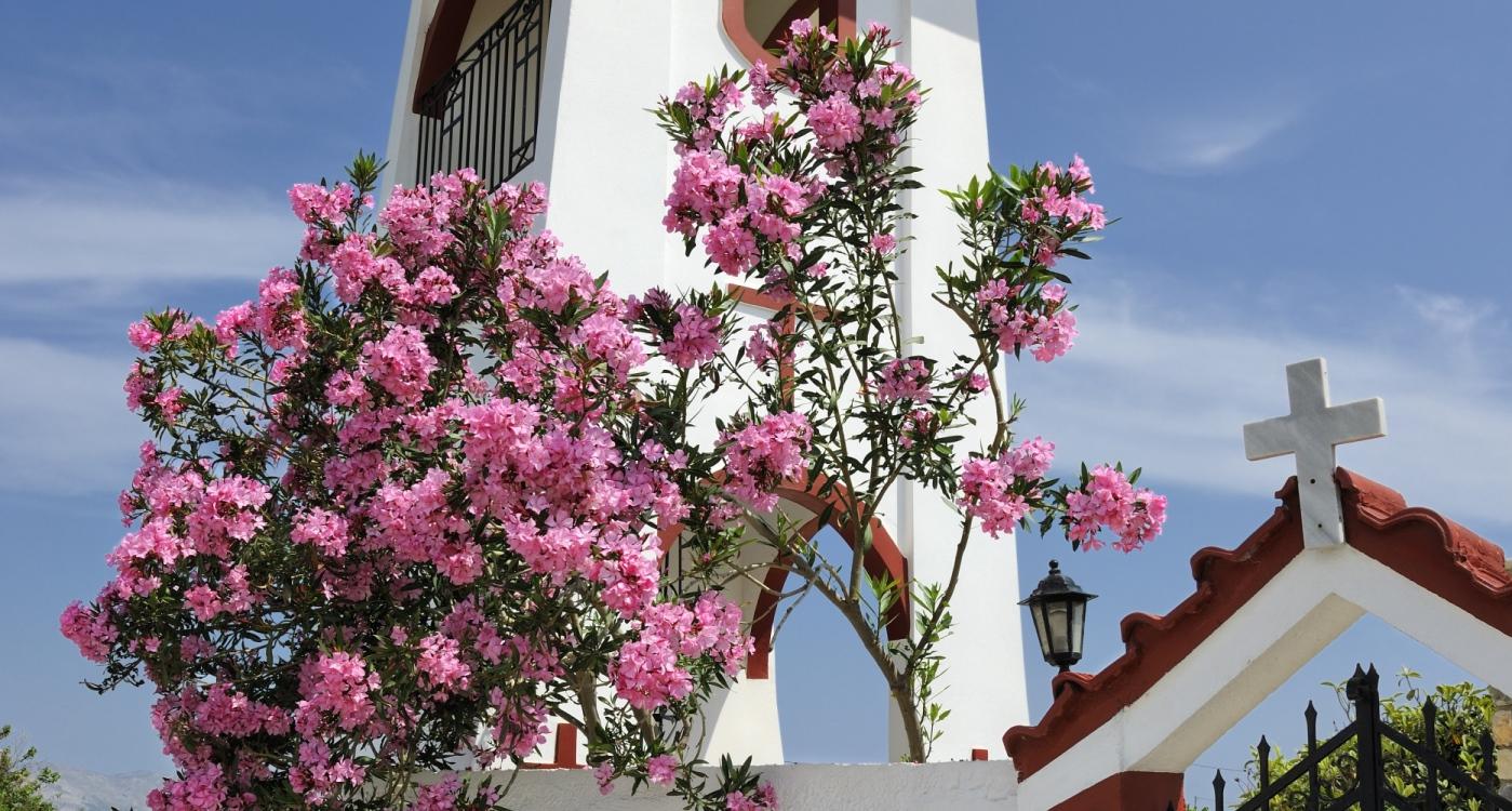 Tigaki Foto: 8 av 10