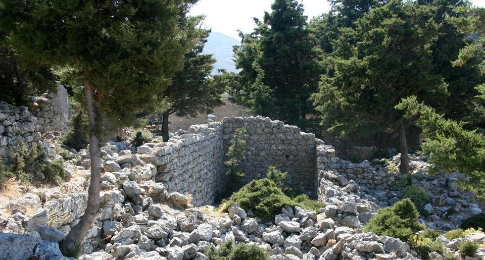 Kos Foto: 11 av 21