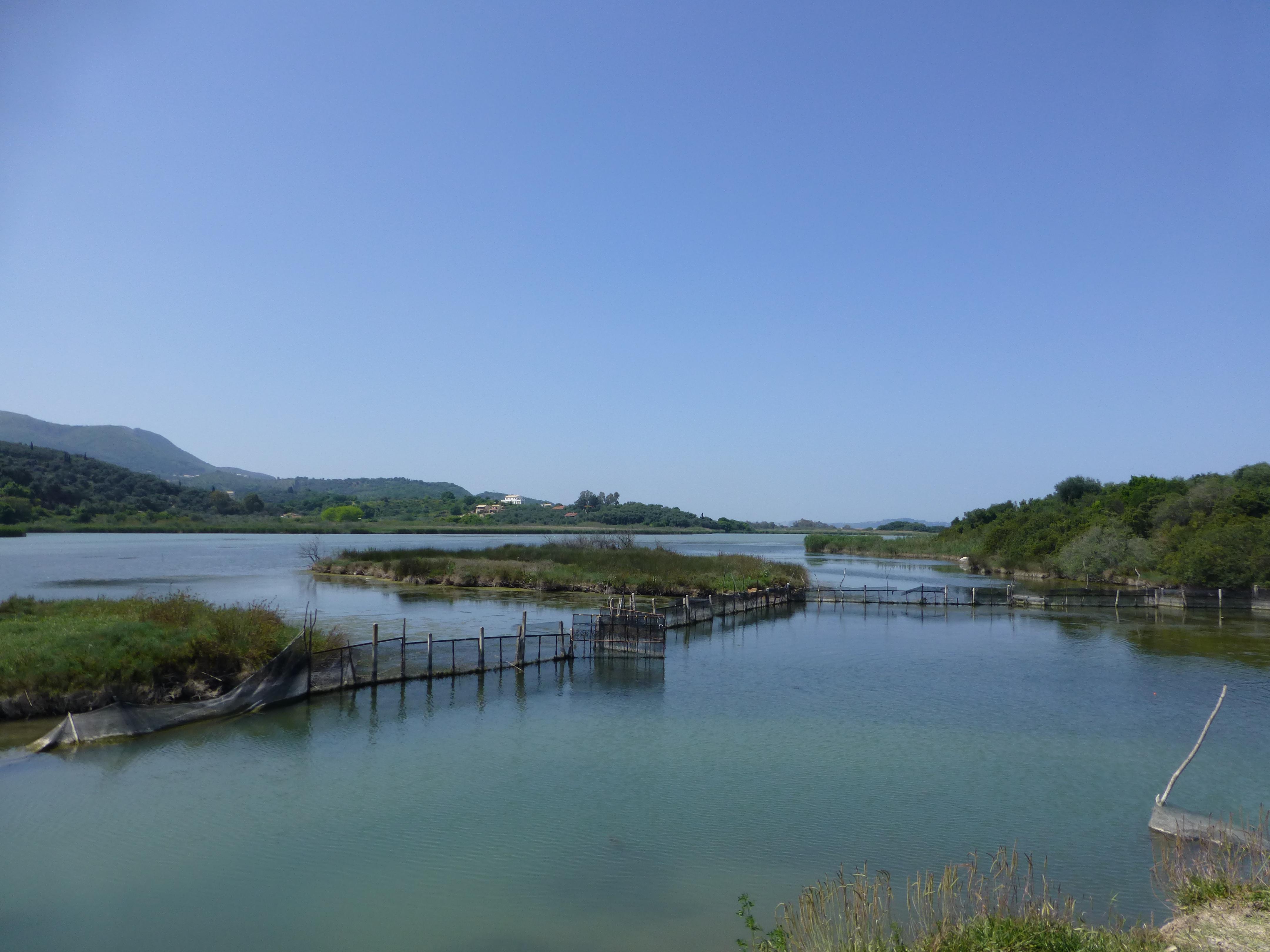 Agios Spyridon Foto: 4 av 6