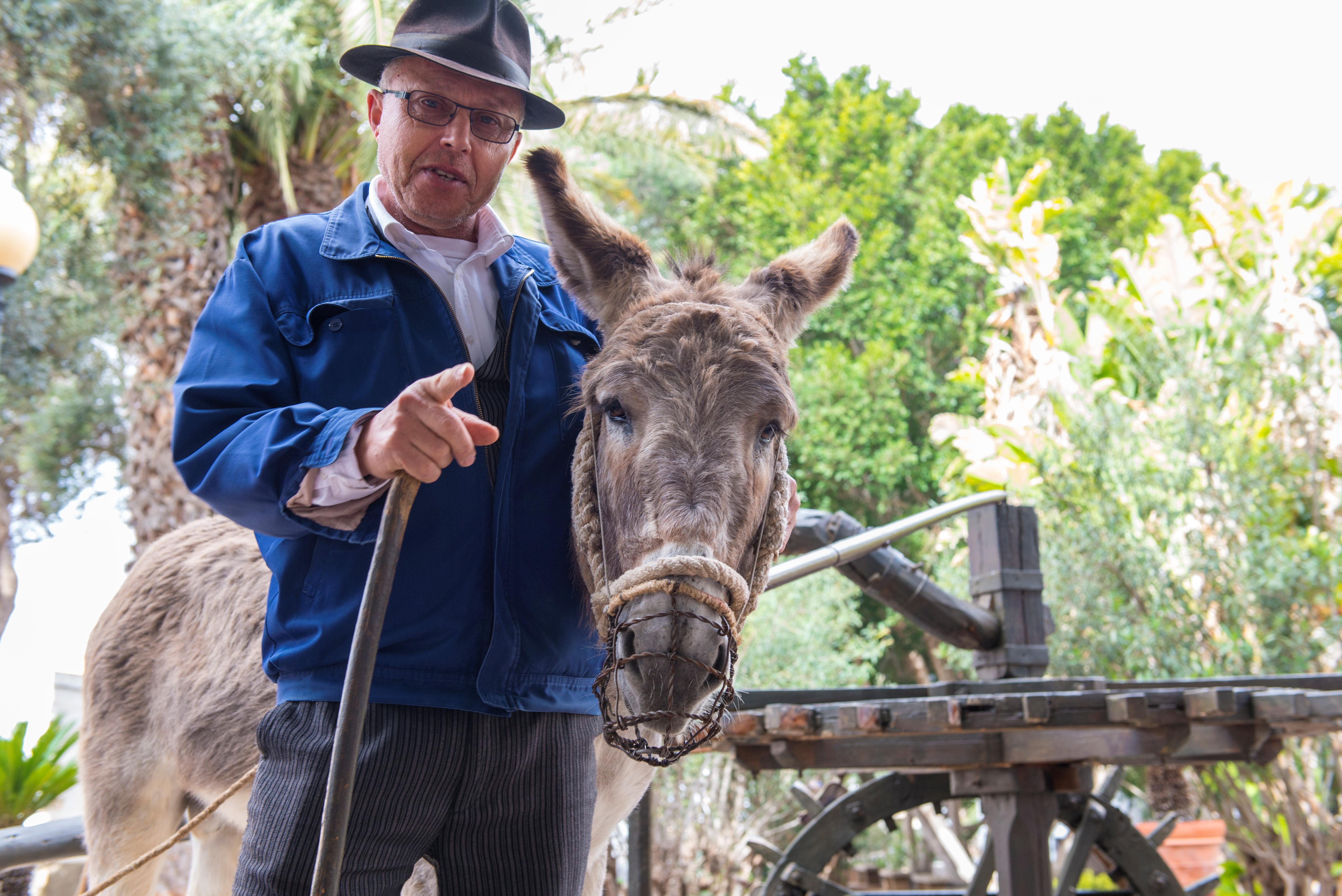 Fuerteventura Foto: 24 av 25