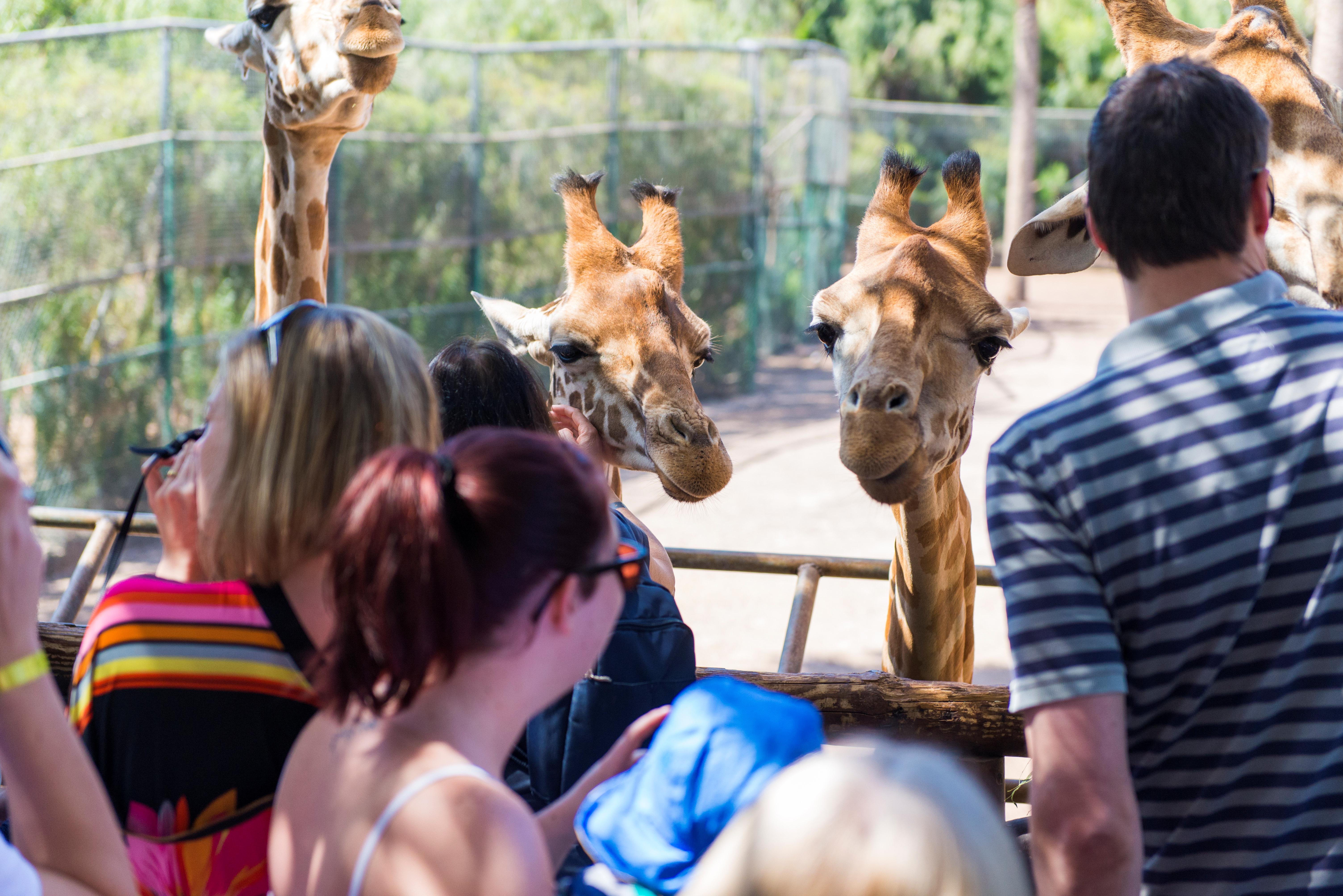 Fuerteventura Foto: 21 av 25