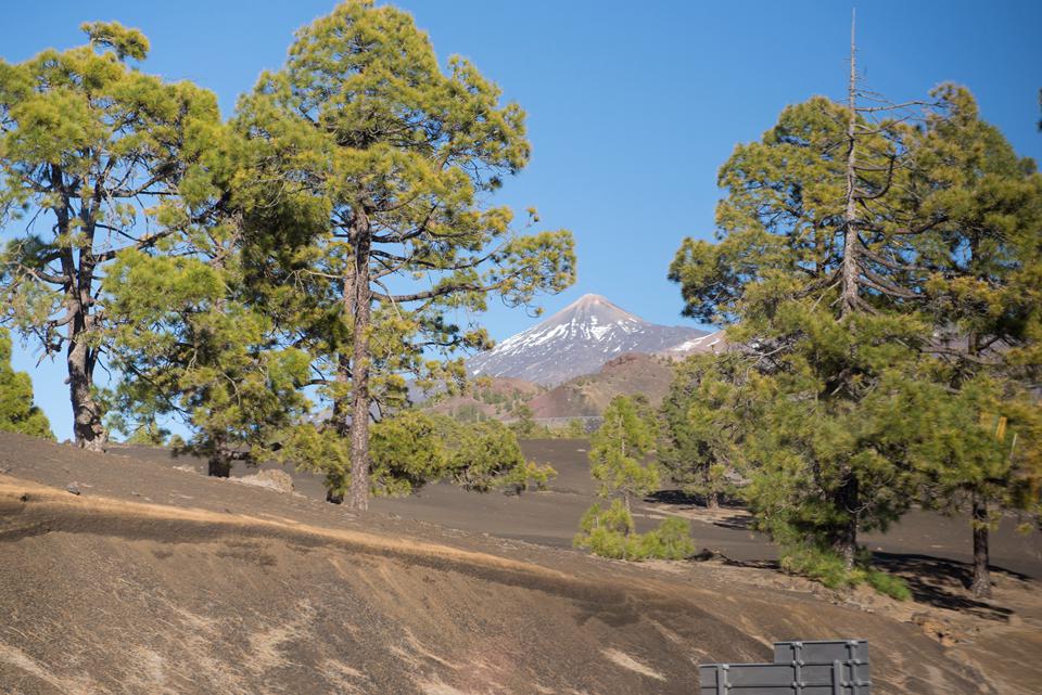 Teneriffa Foto: 31 av 35