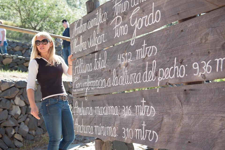 Teneriffa Foto: 25 av 35