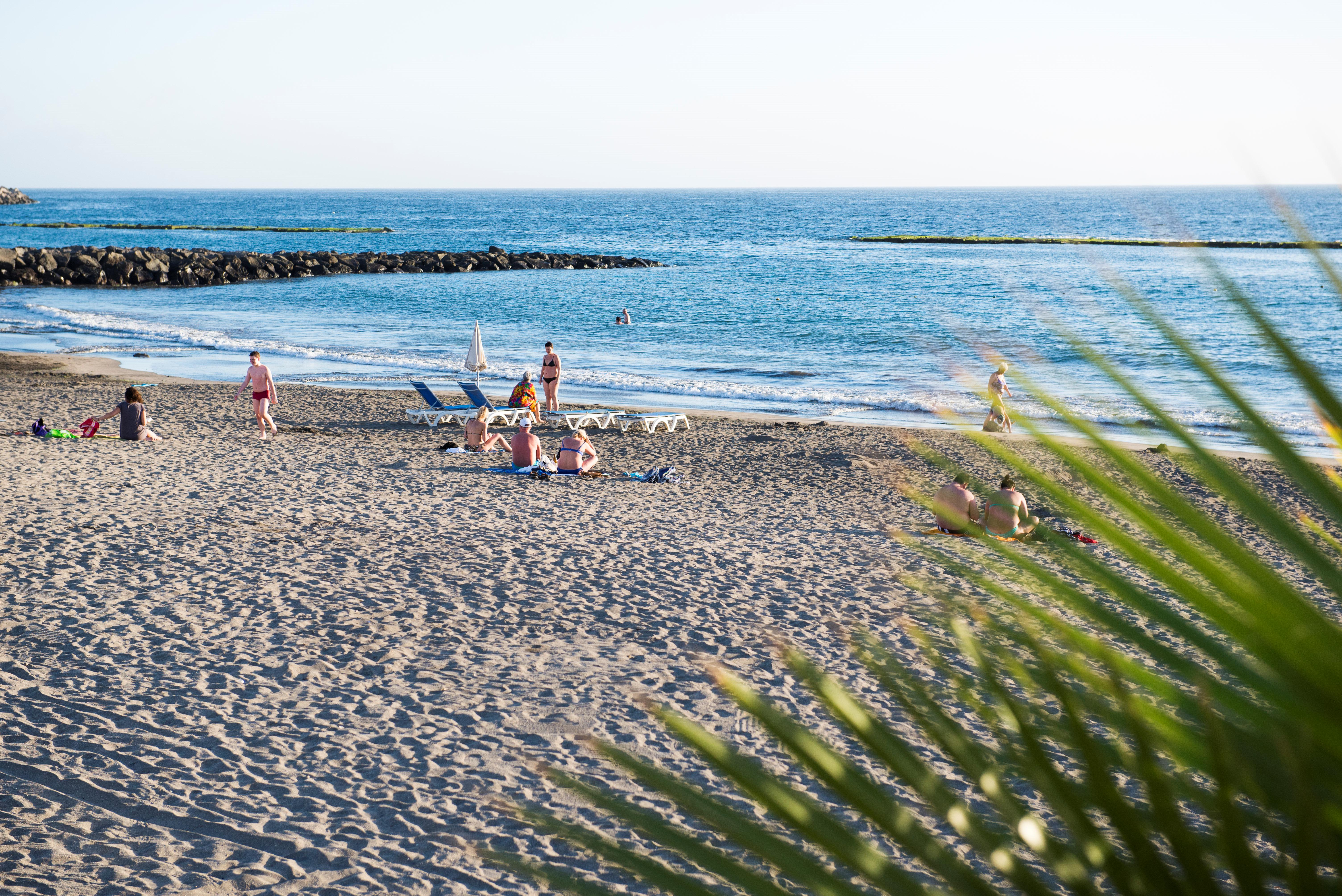 Teneriffa Foto: 19 av 35