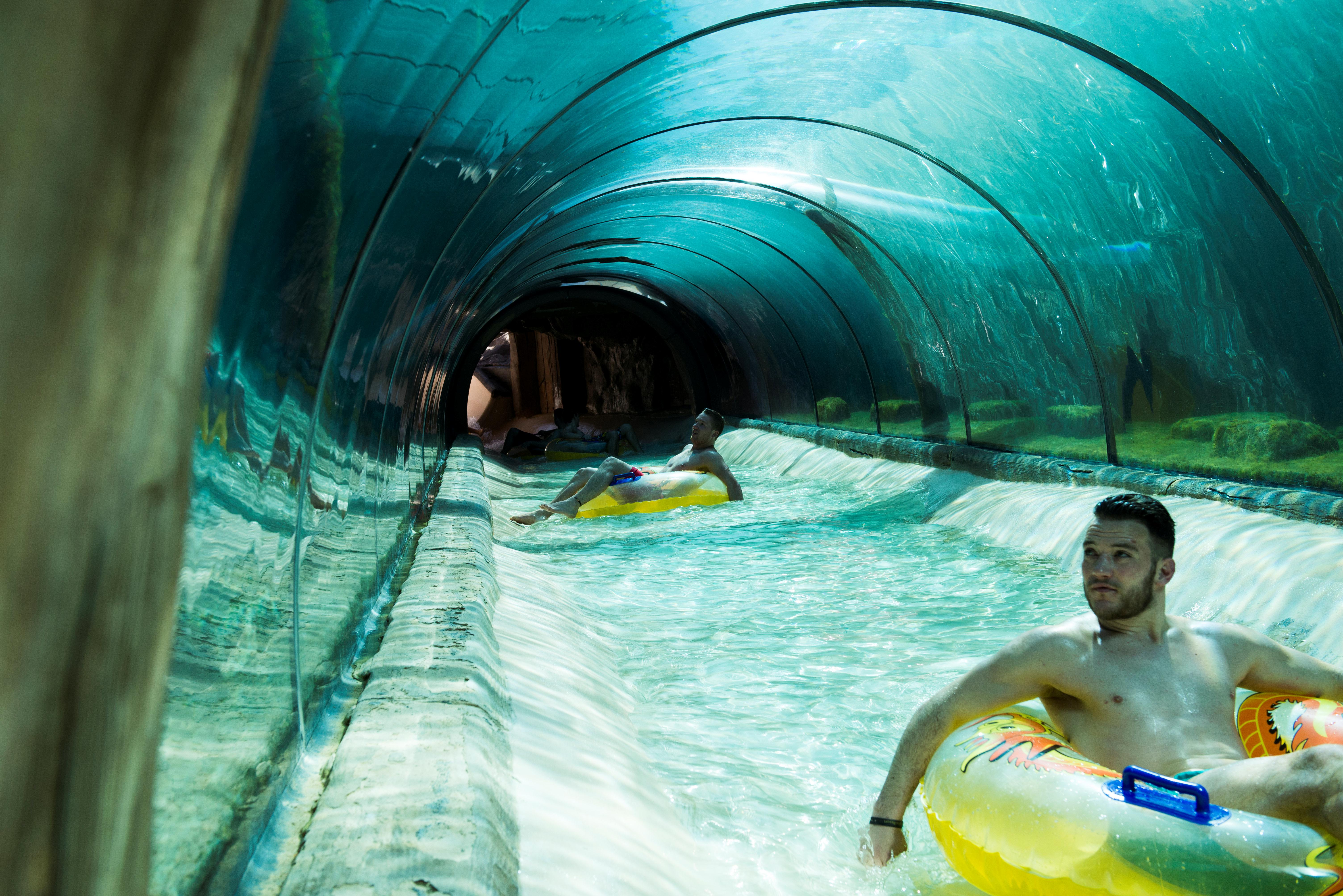 Teneriffa Foto: 8 av 35