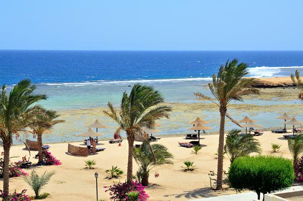 Foto från Marsa Alam