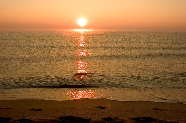 Foto från Sunny Beach
