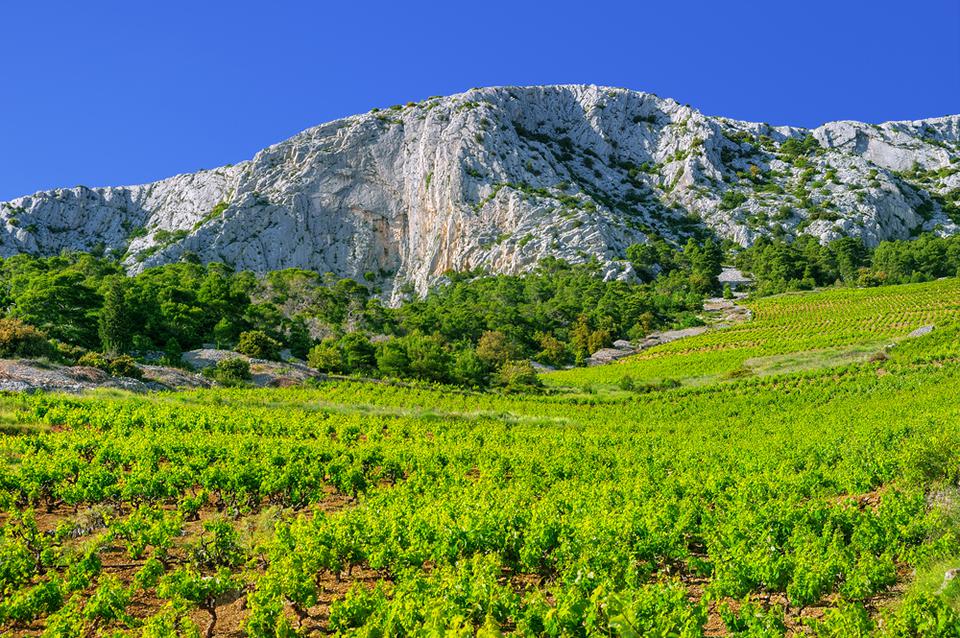 Dalmatia Foto: 7 av 13
