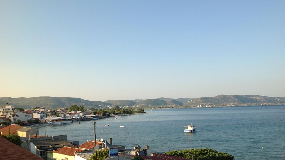 Ireon Foto: 2 av 4