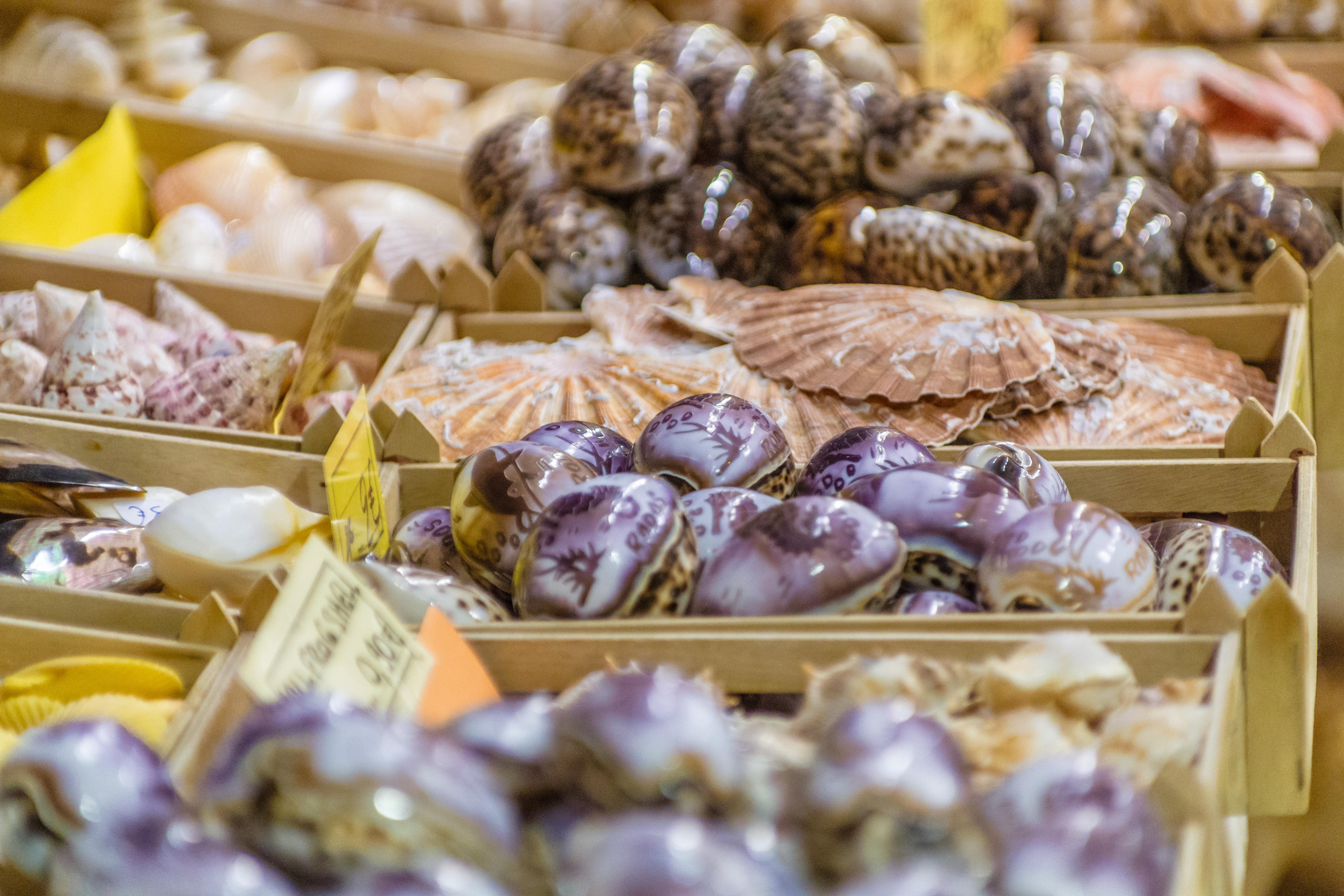 Ialyssos Foto: 9 av 11