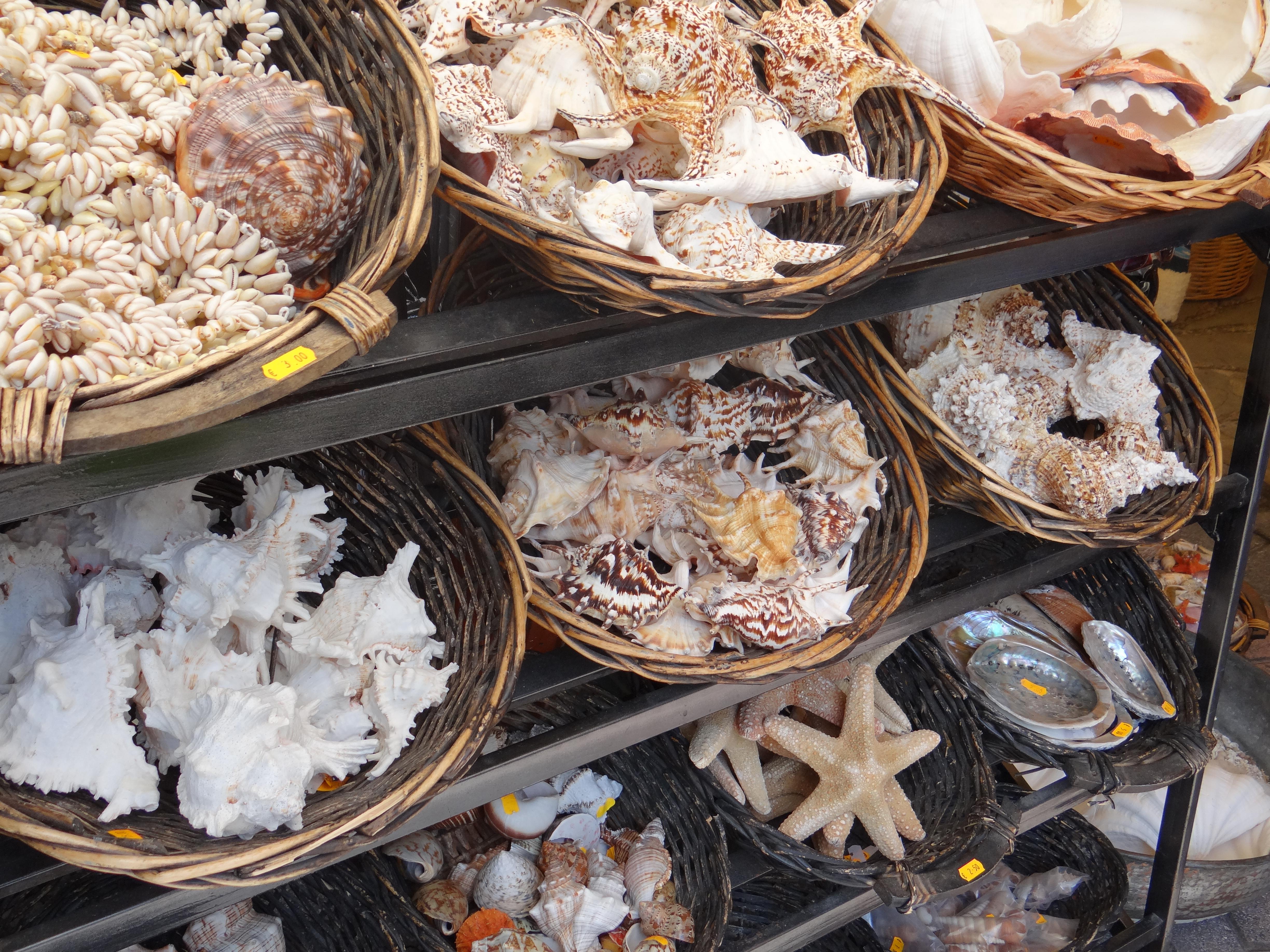 Kalithea - Kassandra Foto: 12 av 15