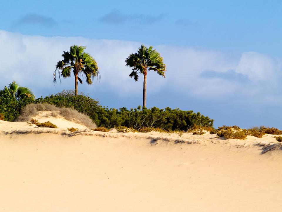 Corralejo Foto: 8 av 17