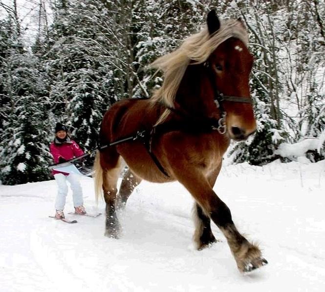 Chamonix Foto: 2 av 3