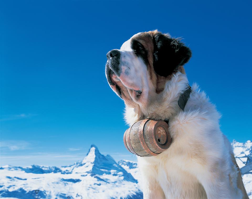 Schweiz Foto: 3 av 6