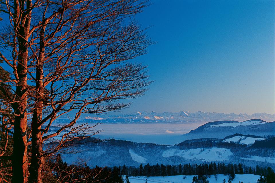 Schweiz Foto: 6 av 6