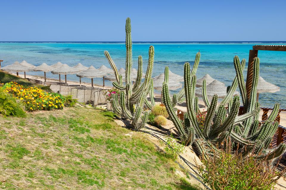 Marsa Alam Foto: 14 av 14