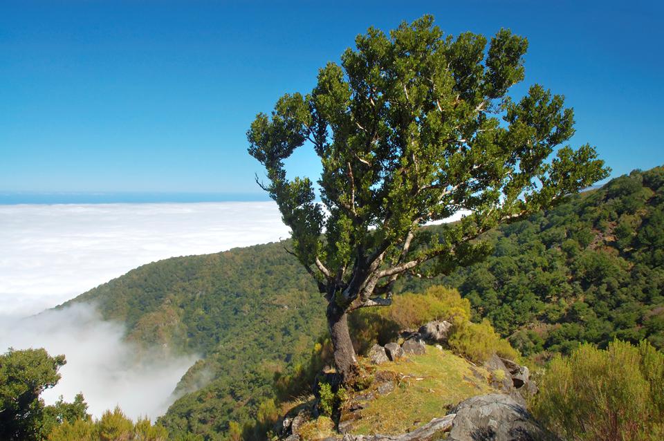 Calheta Foto: 4 av 4