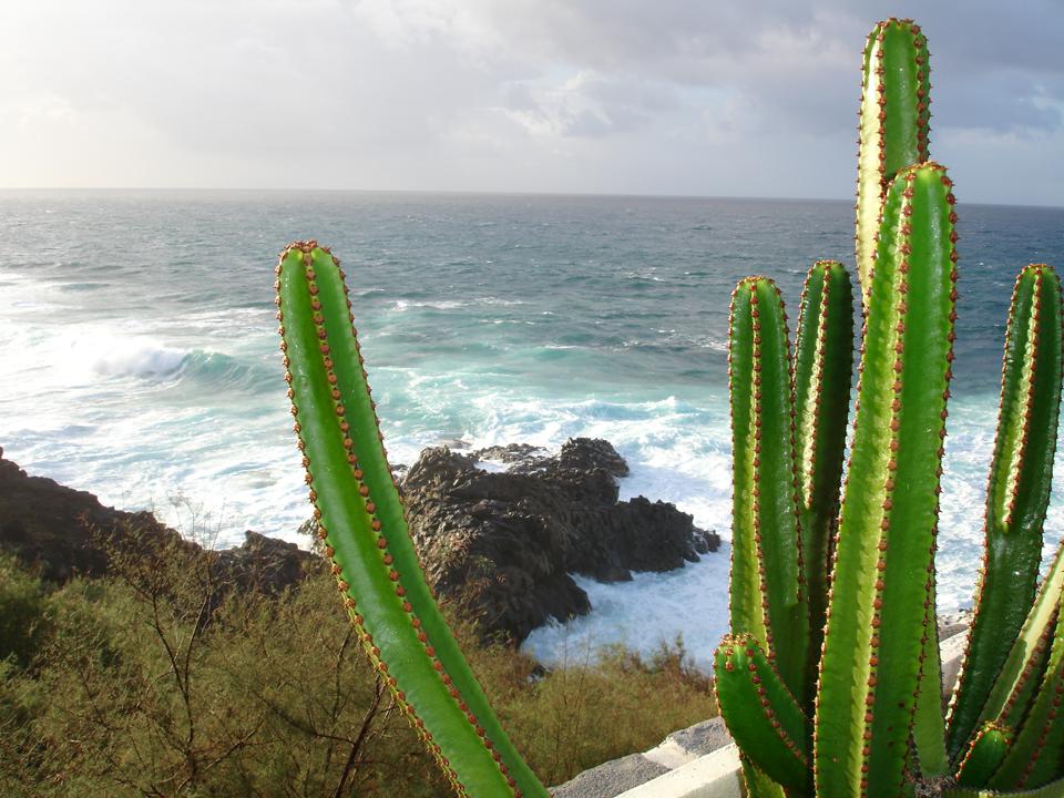 Playa Paraiso Foto: 1 av 2