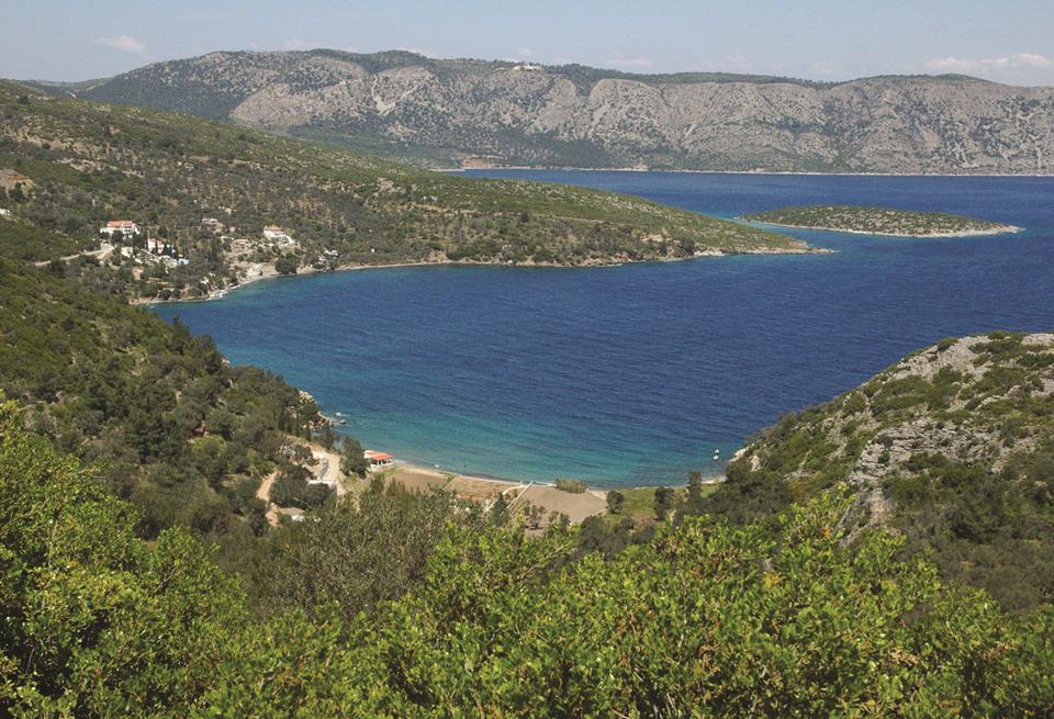 Kerveli Foto: 4 av 4