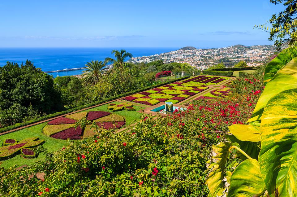 Fly & Drive Madeira Foto: 9 av 11