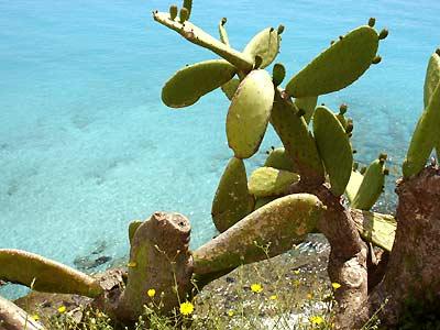 Cala Viñas Foto: 3 av 6