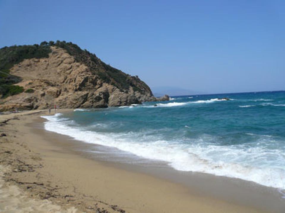 Vassilias Foto: 5 av 5