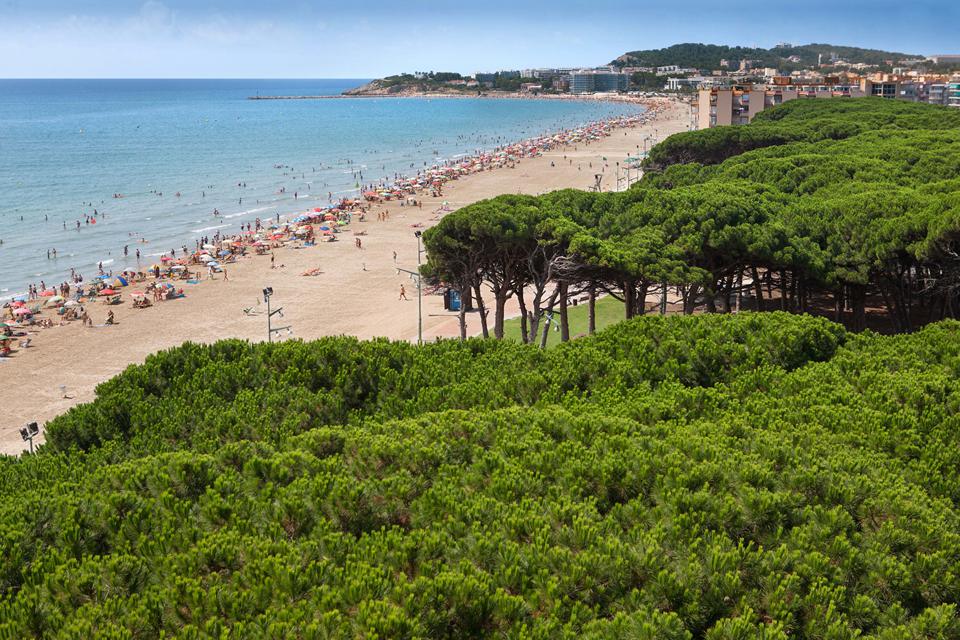 La Pineda Foto: 2 av 2