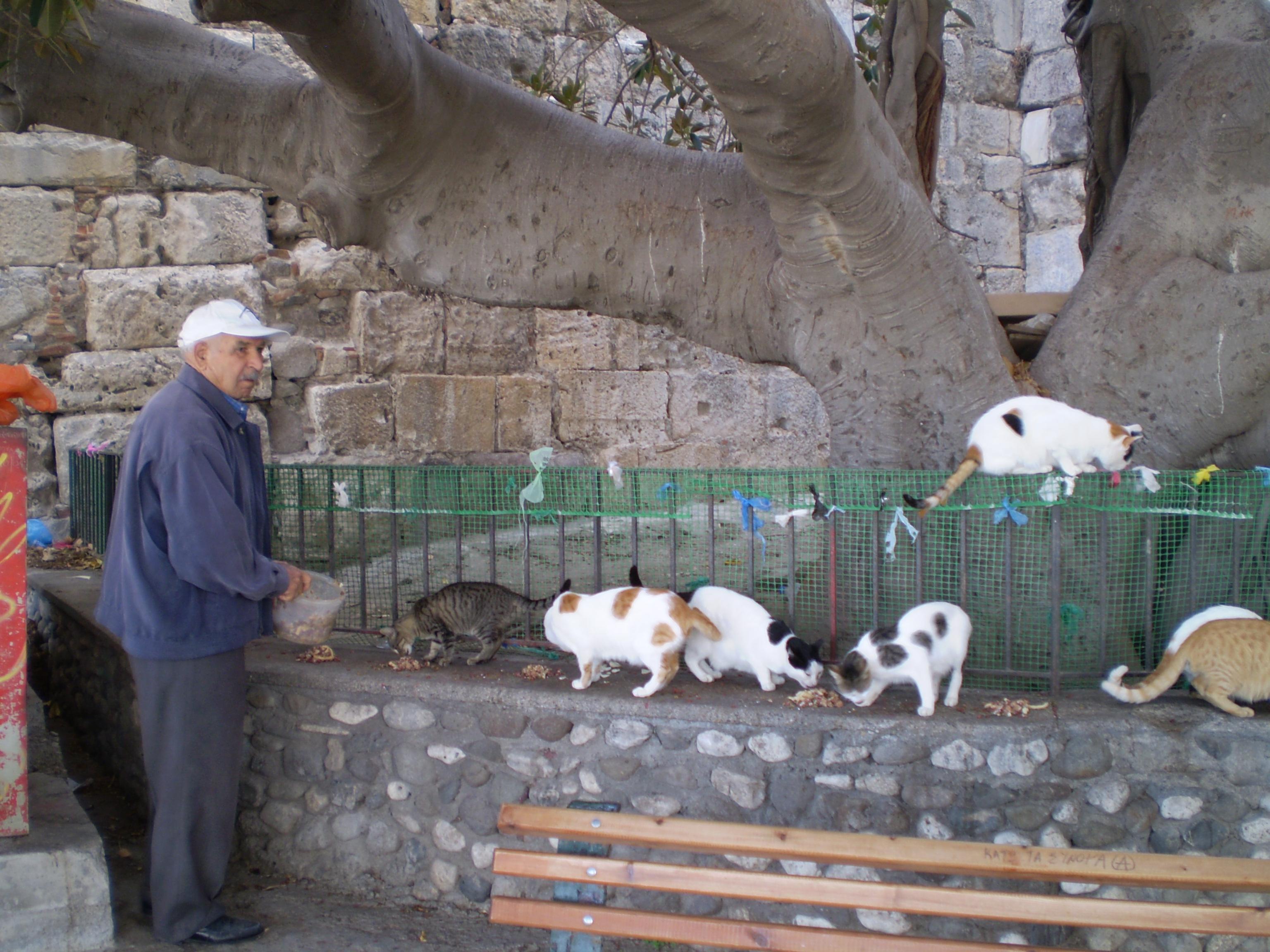 Marmari Foto: 2 av 3