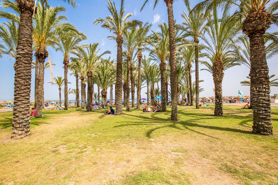 Torremolinos Foto: 11 av 25
