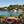 Paxos