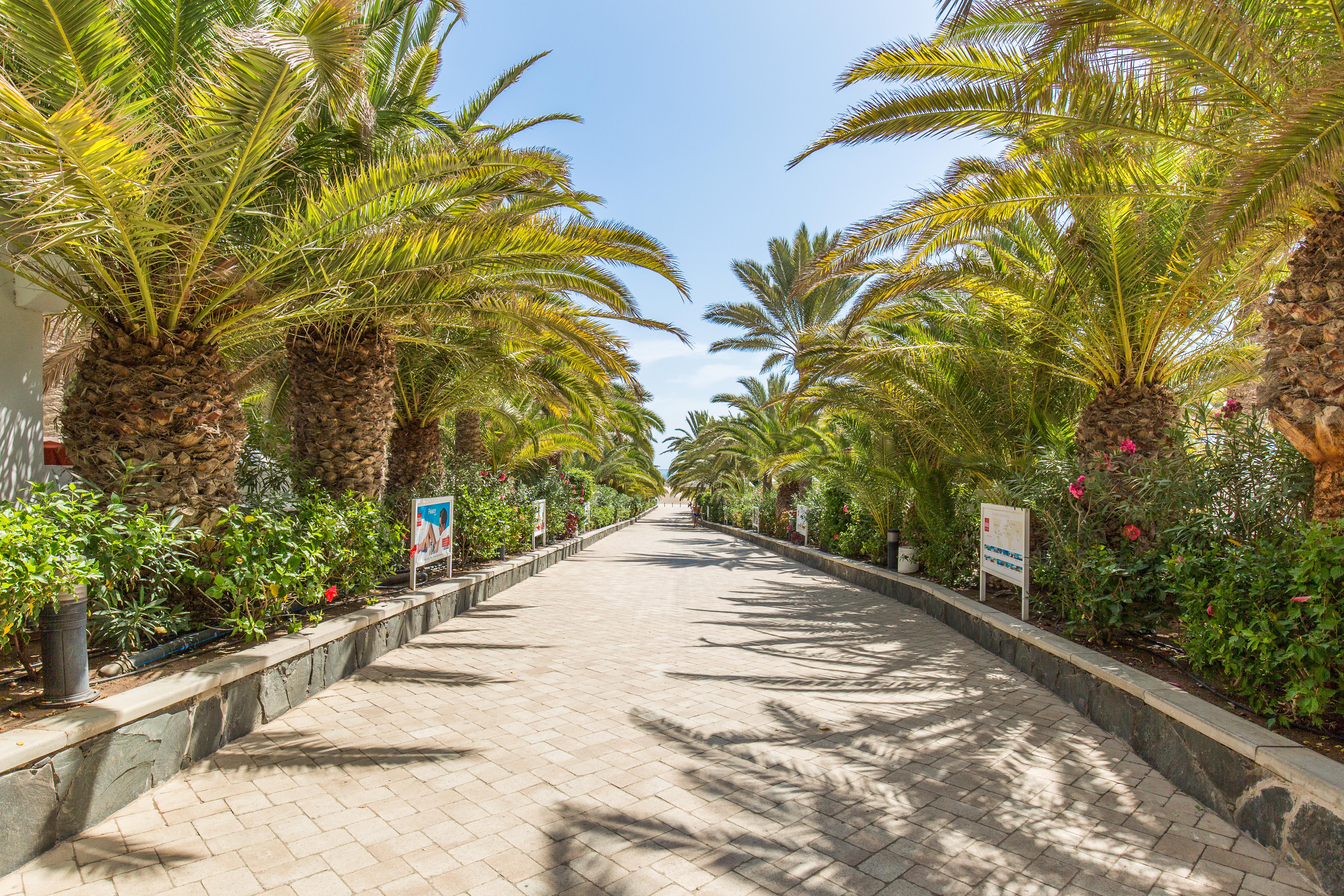 Maspalomas Foto: 6 av 16