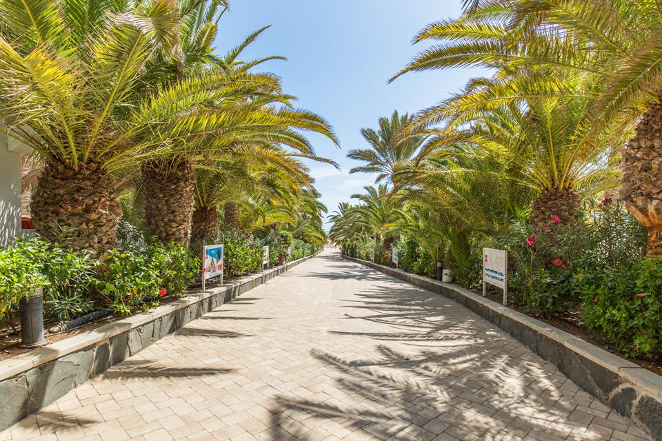 Maspalomas Foto: 6 av 16