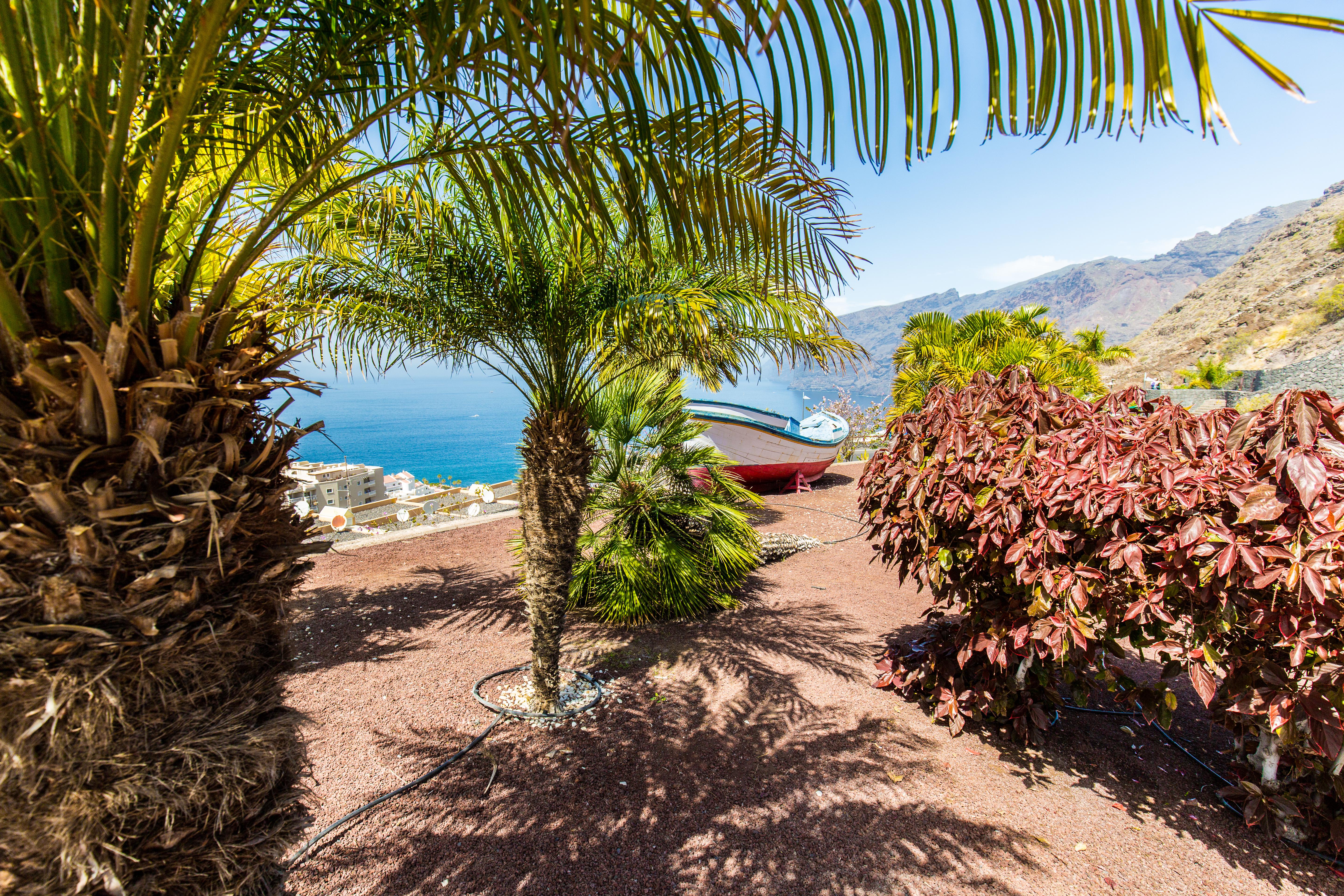 Teneriffa Foto: 7 av 35